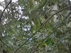 Amatorka, Duży tyłek, Fetysz, Domowej roboty, Dżinsy, Sikanie, Solo, Cycki