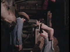 Popó, Hatalmas hátsó, Szőke, Kőkemény, Hd, Nuni, Begyek, Régebbi évjáratú pornó