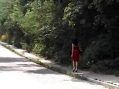 Bus, Gruppe, Serbien