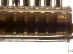 Americano, Tetona, Fetiche, Hd, Maduro, Madres para coger, Coño, Trio