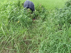 De plein air, Public