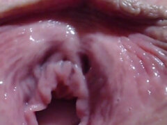 Большой клитор, Клитор, Фетиш, Большие дырки, Киски