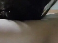 Amateur, Asiatique, Sucer une bite, Poilue, Chatte