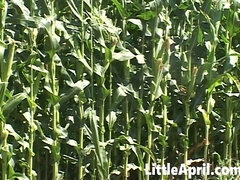 Blondin, Kvinna, Fetisch, Fingering, Hardcore, Onani, Liten och nätt, Solo