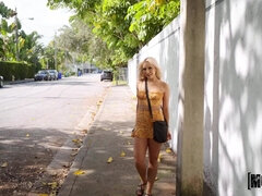 Stor pik, Blondine, Pik sutte, Universitet, Latinsk, Penge, Ridning, Bryster