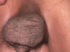 Hatalmas hátsó, Szőrös, Érett koros