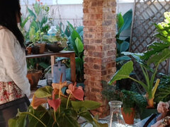 Ερασιτέχνης, Μελαχροινή, Ζευγάρι, Χύσιμο, Νοικοκυρά, Ώριμη γυναίκα, Εκτός, Η σύζυγος