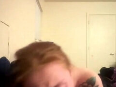 Amatéri, Kuřba, Pár, Medzirasové, Ryšavé, Webkamera