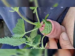 Amateur, Grosse bite, Tir de sperme, Homosexuelle, De plein air