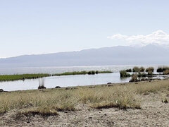 Pláž, Kompilace, Exhibicionisti, Nudistka, Venku, Pissing, Různé pohledy, Na veřejnosti