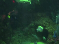 Amatéri, Blondína, Priateľka, Okuliare, Z pohľadu účastníka, Nafúknuté bradavky, Pička, Vyholené