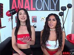 Anal, Rumpe, Kukk suging, Brunette, Par, Bløtkake, Hd, Pupper