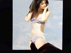 Kuuluisuus, Spermashotti, Käsihoito