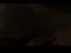 Perse, Brittiläinen, Rintava, Klassinen, Söpö, Sali, Rankka, Tissit