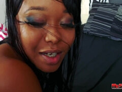 Hatalmas hátsó, Fekete, Gesztenyebarna, Ondó fröcskölés, Ébenfekete, Kőkemény, Hd, Fajok közötti