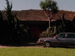 Boquete, Jato de porra, Peludoa, Orgia, Vintage