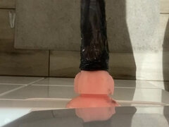 Fuck. Doggy Style. Solo Anal