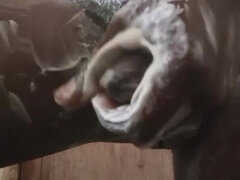 Afrikansk, Svart, Pappa, Onani, Solo