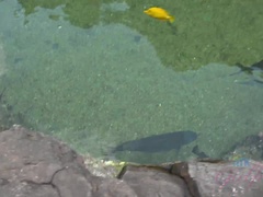 Amateur, Doigter, Orgasme, De plein air, Pov, Public, Fumer, Allumeuse