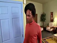 Amatőr, Monumentális dákó, Cumizás, Nyalás