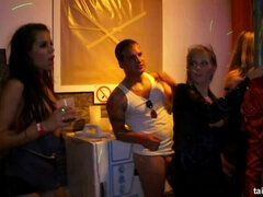 Éjszakai bár, Ondó fröcskölés, Baba, Kőkemény, Orgia, Pornósztárok, Szatén, Nedves