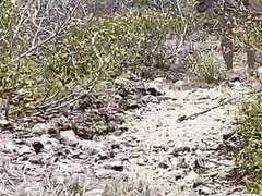 Wife Sharing on Nudist Beach While Hubby Records, Teenage Slut Gets Fucked by a Random Guy on a Nudist Beach