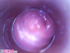 PJGIRLS Silvia DeLuxe sticks camera in her vagina (pussycam)