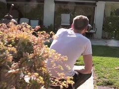 Blondine, Pik sutte, Universitet, Sædskud, Pik, Pov, Fisse, Bryster