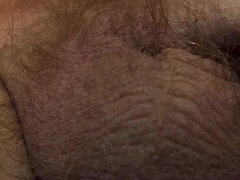 Bear Worships His Hairy Bull Balls, No Cum