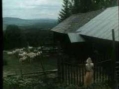 Kukk suging, Offentlig, Vintage