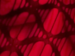 素人, デカ尻, 自然山雀, ハメ撮り, オマンコ, 一人, タトゥー