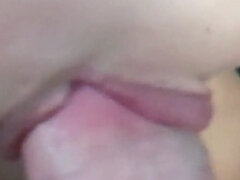 Bikini, Kukk suging, Sperm skott, Fitte, Stramt