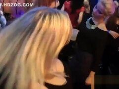 Wacky girls get absolutely insane and nude at hardcore party