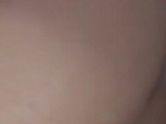 Velký zadek, Velké kozy, Černé, Kuřba, Švédská rojka, Kozičky