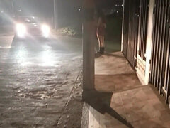 Amatööri, Suihinotto, Kokoelma, Karvainen, Latinankieli, Pillu, Rajua