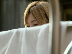 아시안, Hd, 일본인