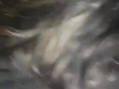 Ερασιτέχνης, Πρωκτικό, Κώλος, Κώλο γλείψιμο, Χοντρή γυναίκα, Διαφυλετικό, Μουνί, Στρώνουν