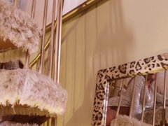 Kotě, Blondýna, Prstění, Spodní prádlo, Pička, Vyholené, Sólo, Kozičky