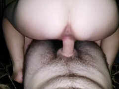 Amatör, Stor stjärt, Pov