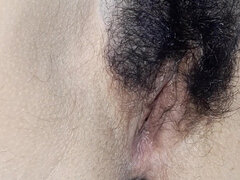 Americkej, Vlasatej, Pička