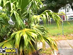 Popó, Hatalmas hátsó, Tekintélyes didik, Gesztenyebarna, Autóbusz, Hd, Masszázs, Természetes mellek