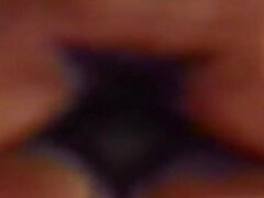 Para, Włochaty, Bielizna, Tabu, Markowy