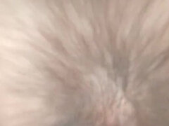 Sexy Giantess Sits in Your Face