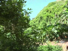 Pik sutte, Give finger, Blottere, Pov, Fisse, Barberet, Bryster, Snugkigger