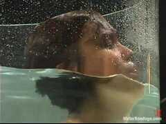 Maya- Introducing the “cylinder of Fear”