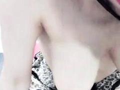 Amatőr, Ázsiai, Kisbaba, Tekintélyes didik, Begyek