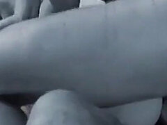 큰 가슴, 오랄섹스, 입에 사정, 더블 삽입, 밀프, 나체의, 쓰리섬, 빈티지