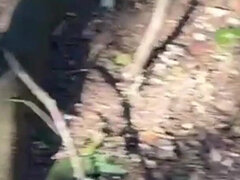 Stor rumpe, Kukk suging, Brunette, Par, Skambelagt, Latina, Penis, Synsvinkel