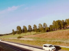 Naked Along a Highway