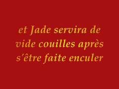 Dressage de Jade chienne soumise